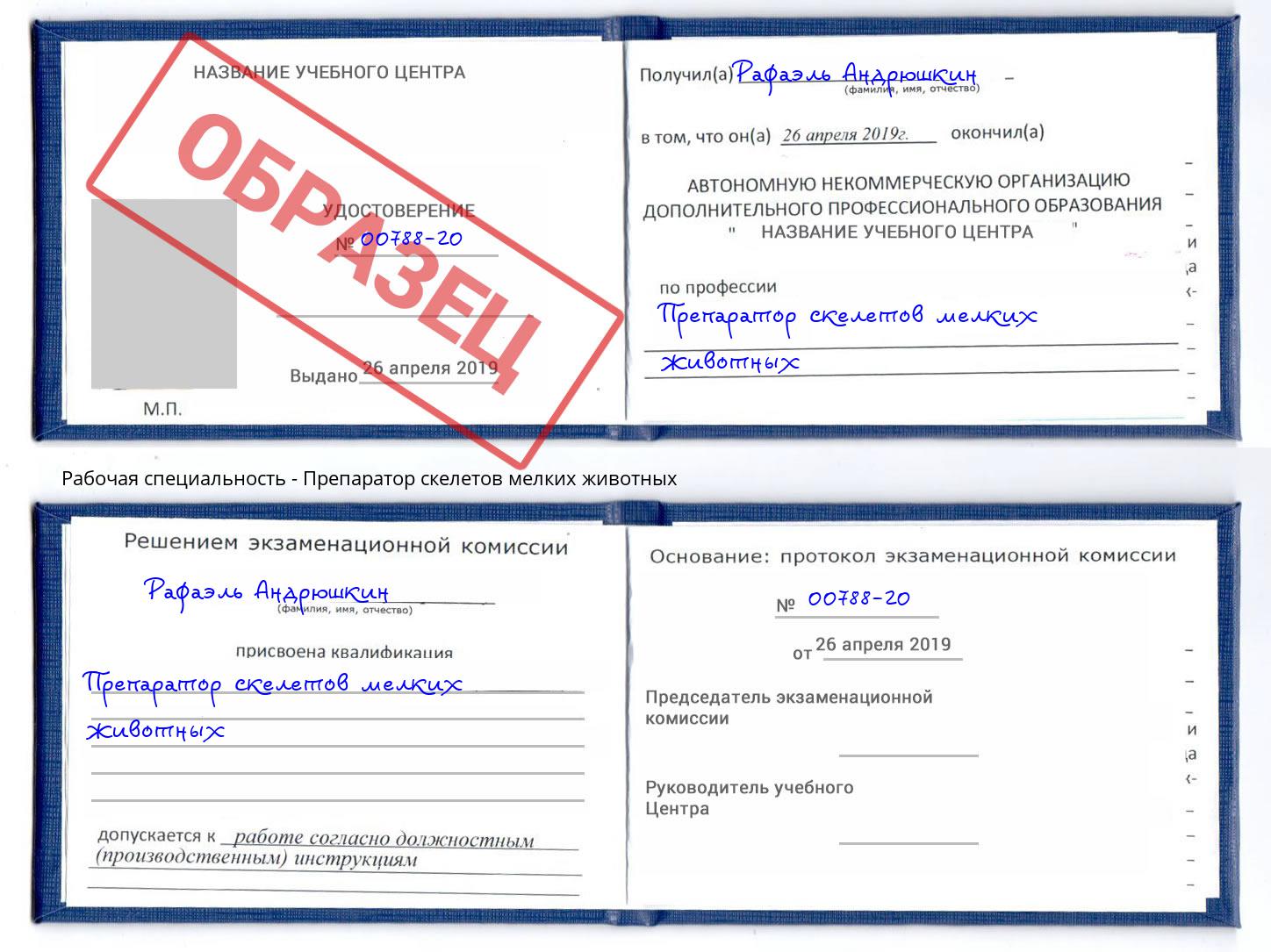 Препаратор скелетов мелких животных Владикавказ