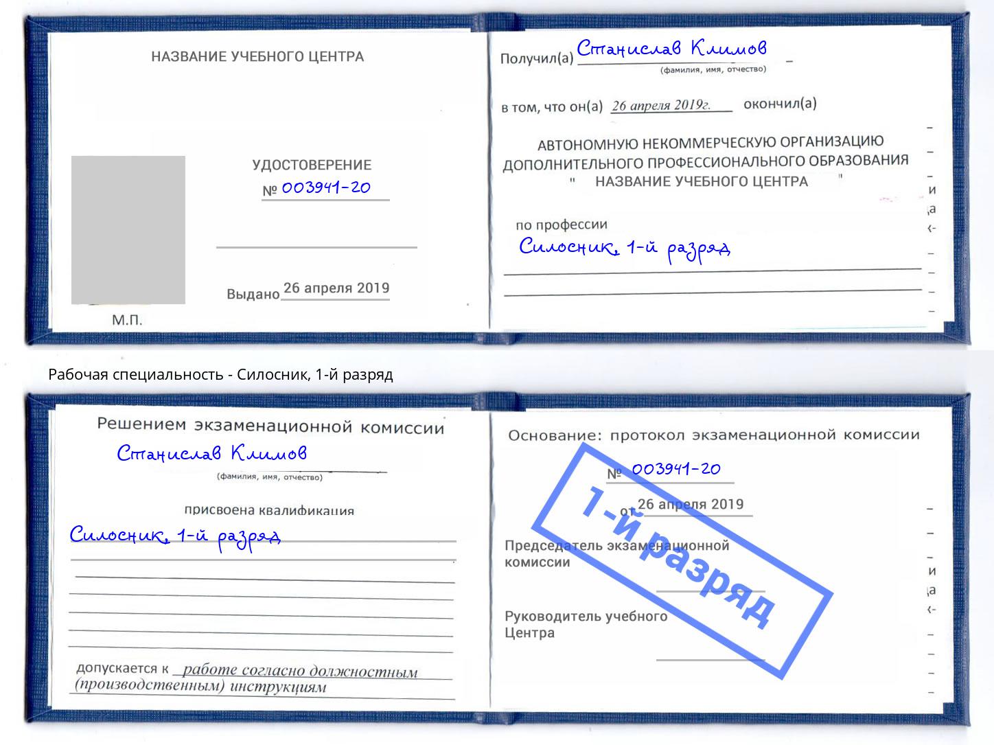 корочка 1-й разряд Силосник Владикавказ