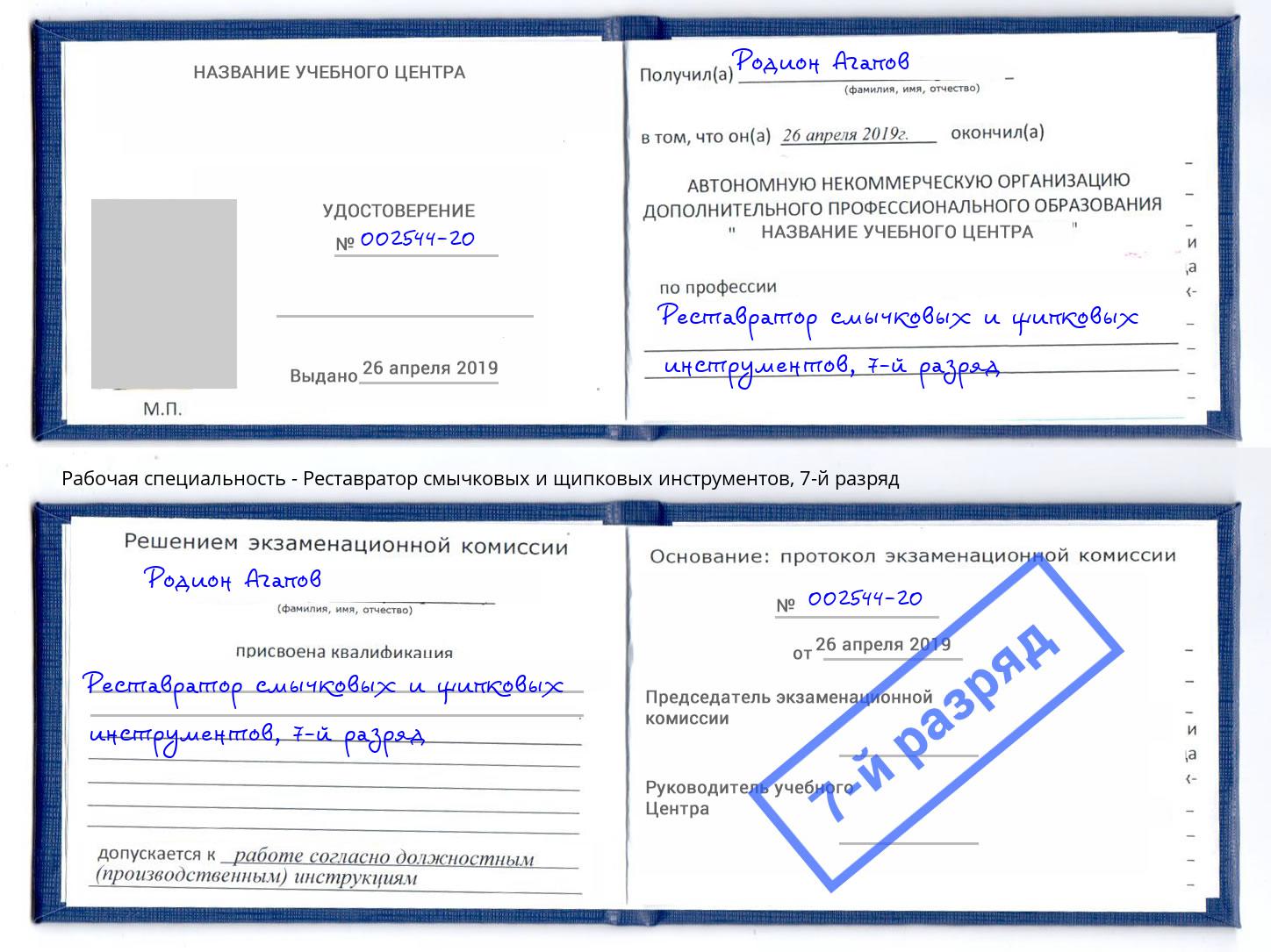 корочка 7-й разряд Реставратор смычковых и щипковых инструментов Владикавказ