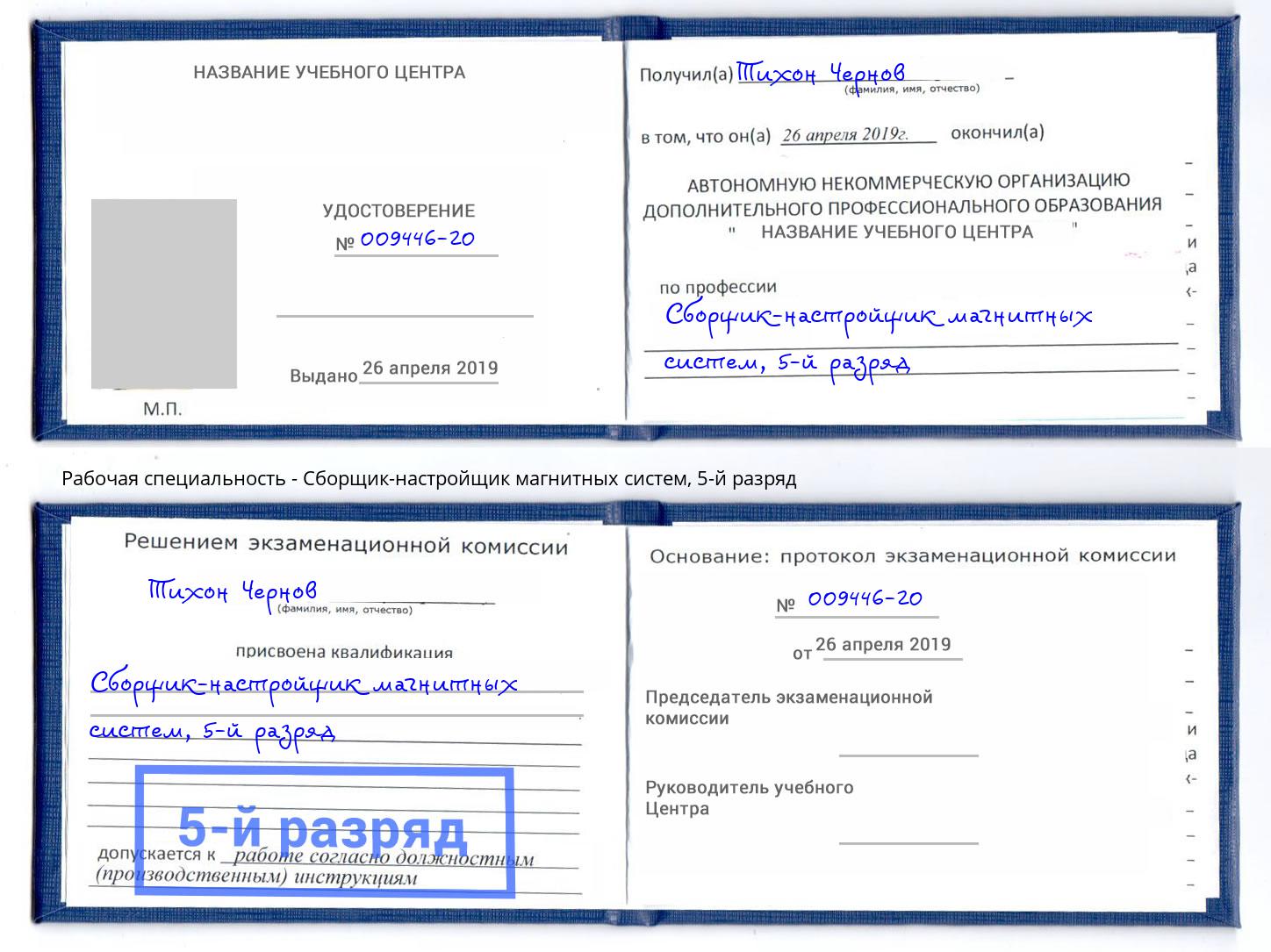 корочка 5-й разряд Сборщик-настройщик магнитных систем Владикавказ